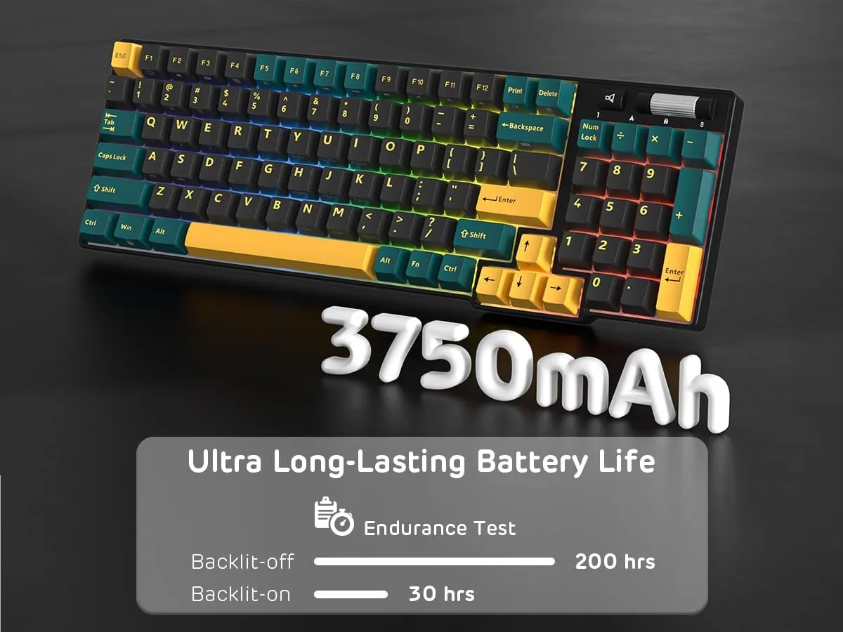 RK ROYAL KLUDGE RK96 RGB Limited Ed, 90% 96 Keys Wireless 3-Mode BT5.0/2.4G/USB-C Hot Swappable Mechanical Keyboard w/Wrist Rest, Volume Control, Software, Massive Battery, RK Viridian Switch